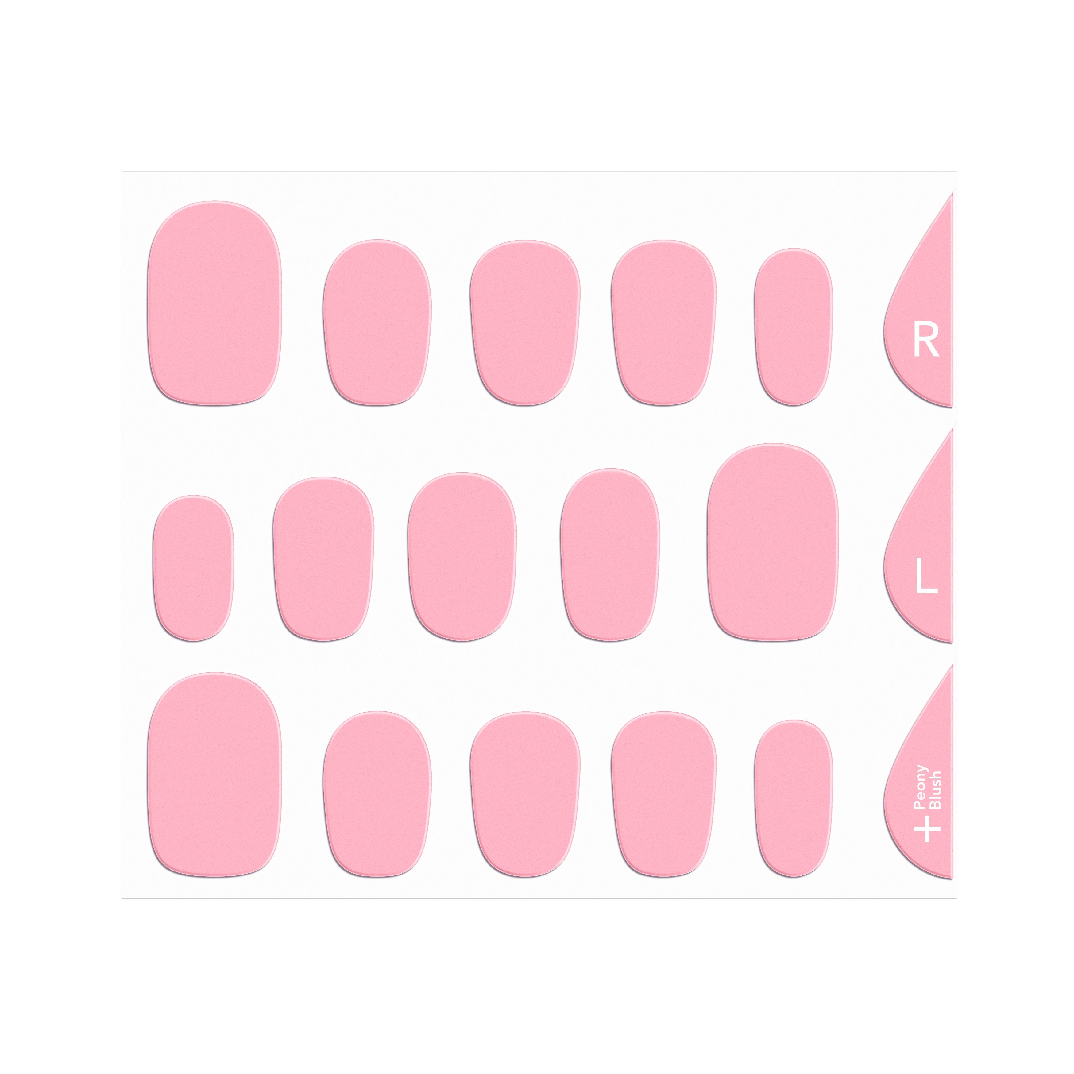 Peony Blush - Image 4